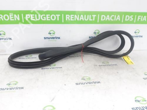 Gummiliste Gummiliste RENAULT KANGOO III Box Body/MPV E-Tech Electric (FJJA) (122 hp) 24159986 24159986