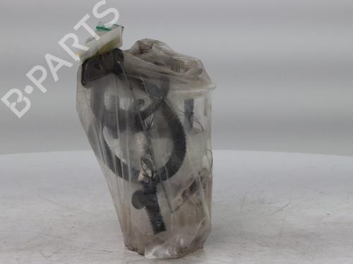 Fuel pump RENAULT KANGOO Express (FW0/1_) 1.5 dCi 105 (FW0F) | BP31960165M76 