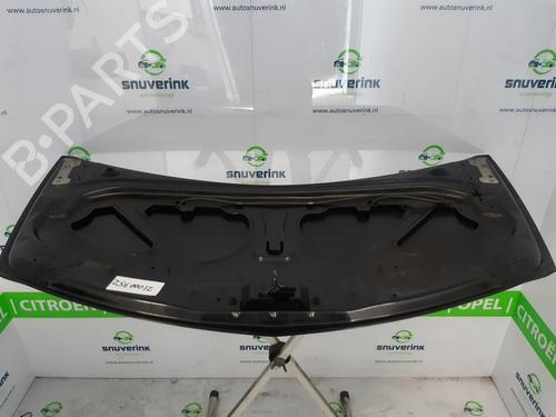 Hood RENAULT CLIO III (BR0/1, CR0/1) 1.4 16V | BP10802907C1 