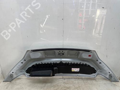 Panser FIAT DUCATO Van (250_) 120 Multijet 2,2 D | BP30757824C1 