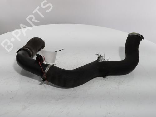 Used Other FIAT DUCATO Van (250_) 150 Multijet 2,3 D (148 hp) 27688346