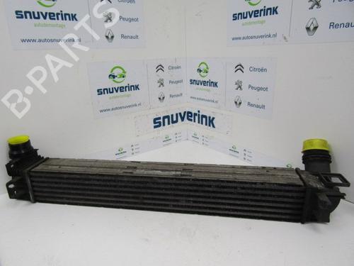 Intercooler RENAULT MEGANE III Grandtour (KZ0/1) 1.5 dCi (KZ09, KZ0D, KZ1G, KZ29, KZ14, KZ1W, KZ10, KZ1F,... (110 hp) 13231695