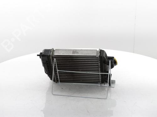 Intercooler RENAULT CLIO V (B7_) 1.0 TCe 90 (B7MT) | BP29426638M30 