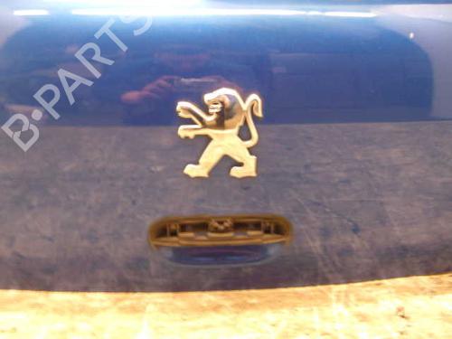 Bakluke CC/Kombi-Kupé PEUGEOT 307 (3A/C) 2.0 16V | BP12831887C6 