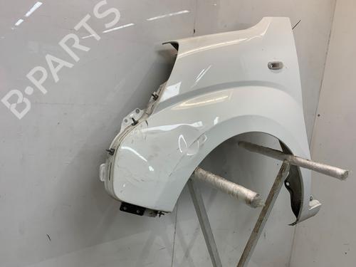 Left front fenders PEUGEOT BIPPER (AA_) 1.3 HDi 75 | BP30186402C41