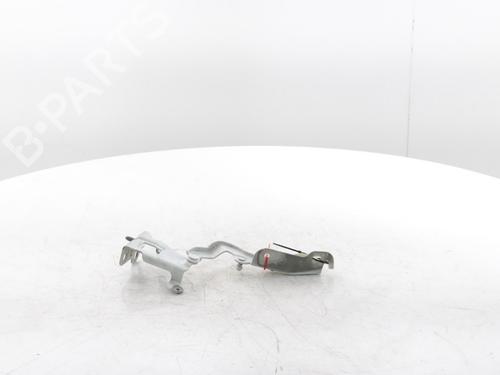 Hinge/Door check strap RENAULT TRAFIC III Van (FG_) 2.0 dCi 120 (FGMN) | BP29426849C146 