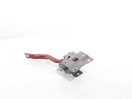 Hinge/Door check strap DACIA SANDERO III 1.0 TCe 90 | BP29068656C146 