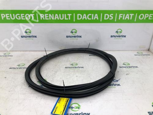 Used Rubber door seal PEUGEOT 208 II (UB_, UP_, UW_, UJ_) e-208 (136 hp) 18073825