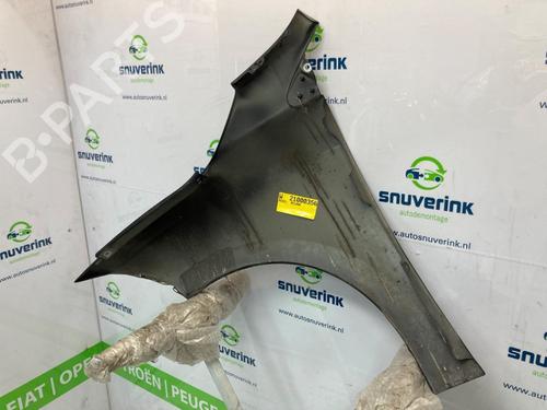 Right front fenders RENAULT MEGANE III Grandtour (KZ0/1) 1.5 dCi (KZ09, KZ0D, KZ1G, KZ29, KZ14, KZ1W, KZ10, KZ1F,... | BP19306675C42 