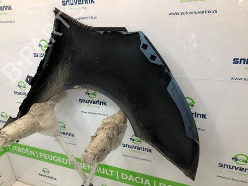 Left front fenders CITROËN C4 Picasso I MPV (UD_) 1.6 HDi 110 | BP20499533C41 