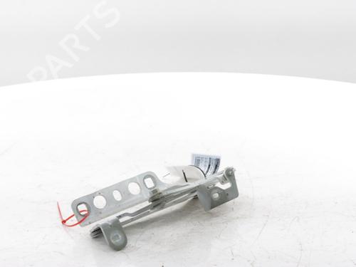 Hinge/Door check strap PEUGEOT 5008 II (MC_, MJ_, MR_, M4_) 1.2 THP (MRHNYH, MRHNYW, MRHNSJ, MRHNSU, MRHNSM) | BP29069104C146 