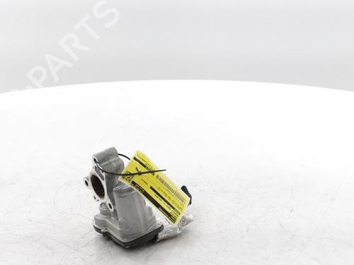 Egr RENAULT TRAFIC III Van (FG_) 2.0 dCi 120 (FGMN) | BP29426886M69 