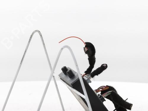 Elektronisk modul RENAULT TWINGO III (BCM_, BCA_) 1.0 SCe 70 | BP30758673M83 