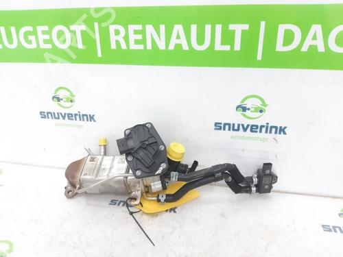 Used Egr RENAULT AUSTRAL E-TECH 200 Hybrid (HGM2) (199 hp) 24841090