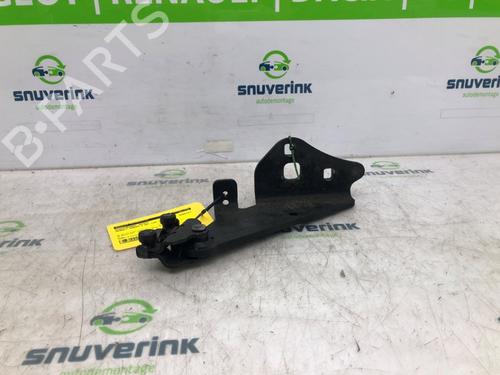 Hinge/Door check strap RENAULT KANGOO Express (FW0/1_) 1.5 dCi 70 (FW0A, KW0V) | BP16099554C146 