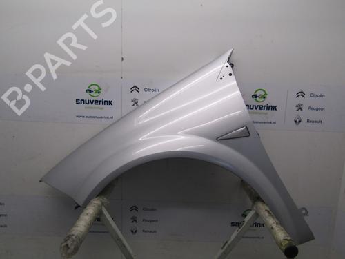 Used Left front fenders RENAULT MEGANE II Estate (KM0/1_) 1.6 16V (112 hp) 10790294
