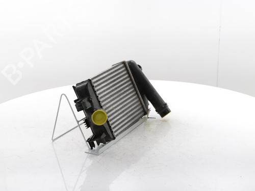Intercooler RENAULT CLIO V (B7_) 1.0 TCe 90 (B7MT) | BP29426638M30 