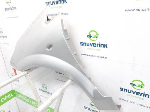 Left front fenders CITROËN C3 Pluriel (HB_) 1.4 | BP21195630C41 