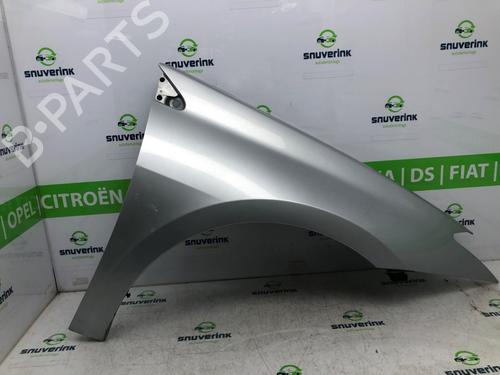 Used Right front fenders RENAULT LAGUNA III (BT0/1) 2.0 dCi (BT01, BT08, BT09, BT0E, BT0K, BT12, BT1C, BT1D,... (150 hp) 17982290