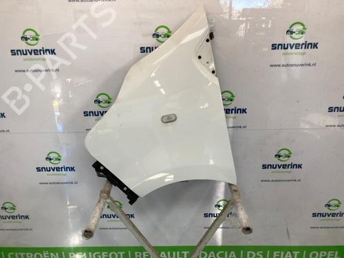 Used Left front fenders OPEL VIVARO B Van (X82) 1.6 CDTI (05) (125 hp) 27287841