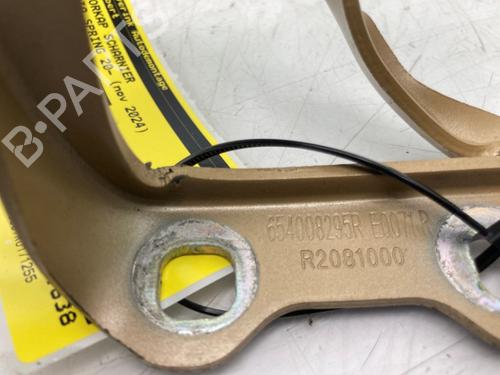 Hinge/Door check strap DACIA SPRING Extreme | BP26488708C146 