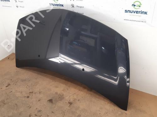 Used Hood RENAULT CLIO III (BR0/1, CR0/1) 1.6 16V (BR09, BR0T, CR09, CR0T) (88 hp) 10798669