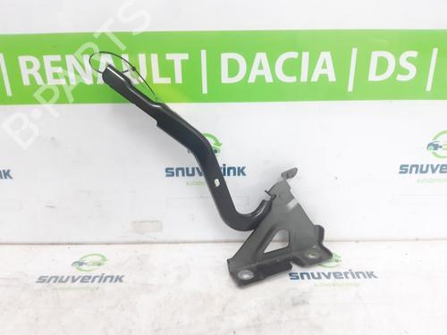 Hinge/Door check strap RENAULT KANGOO III Box Body/MPV E-Tech Electric (FJJA) | BP30866641C146