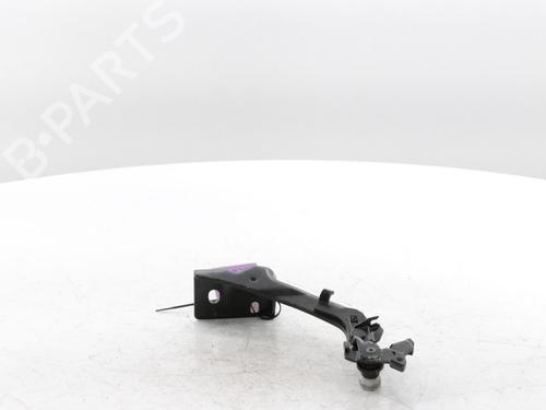 Hinge/Door check strap FIAT DUCATO Van (250_) 120 Multijet 2,2 D | BP29426648C146 