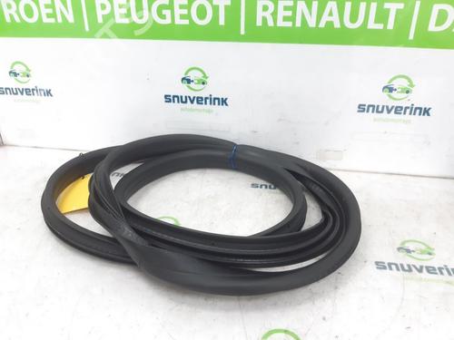 Gummiliste RENAULT SYMBIOZ 1.6 E-Tech 145 | BP24944065C142 - Image 2