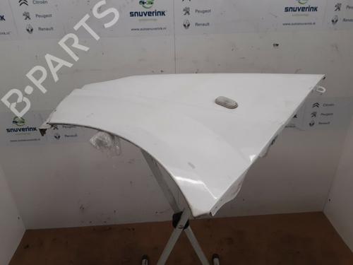 Used Left front fenders RENAULT TRAFIC II Van (FL) 2.0 dCi 90 (FL0H) (90 hp) 16408700