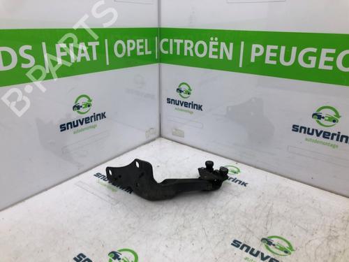 Used Hinge/Door check strap CITROËN BERLINGO Box Body/MPV (B9) 1.6 HDi / BlueHDi 75 (75 hp) 30185384
