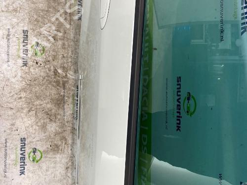 Right rear door FIAT PUNTO EVO (199_) 1.3 D Multijet | BP17764117C5 