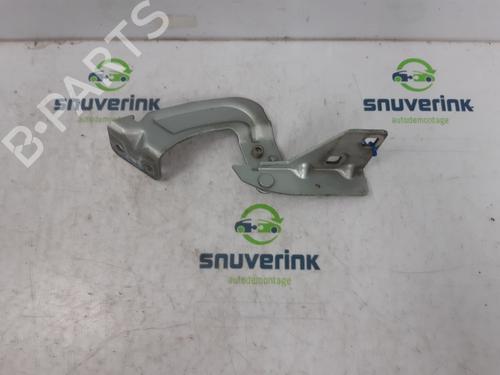 Hinge/Door check strap RENAULT KANGOO Express (FC0/1_) 1.5 dCi (FC07, FC1R) | BP13195186C146 