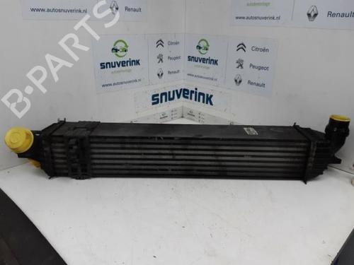 Used Intercooler Intercooler RENAULT LAGUNA III Grandtour (KT0/1) 2.0 dCi (KT0M, KT0N, KT0S, KT19, KT1F) (173 hp) 40568368 40568368