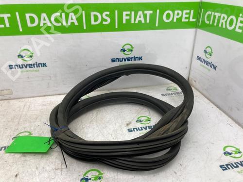 Used Rubber door seal OPEL MOVANO B Van (X62) 2.3 CDTI FWD (FV) (150 hp) 26279709