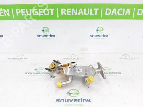 Used Egr RENAULT ARKANA I (LCM_, LDN_) 1.6 E-TECH 145 (LDMU) (143 hp) 30185508