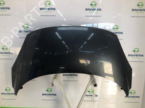 Used Hood RENAULT SCÉNIC III (JZ0/1_) 1.5 dCi (110 hp) 24841344