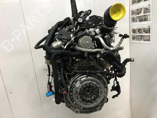 Used Engine Engine RENAULT KANGOO III MPV Blue dCi 75 (KJAA) (75 hp) 33813719 33813719