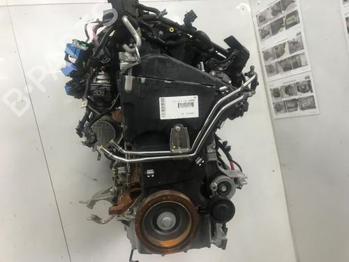 Engine RENAULT EXPRESS Box Body/MPV 1.5 Blue dCi 75 (F6AA) | BP33697070M1 - Image 2