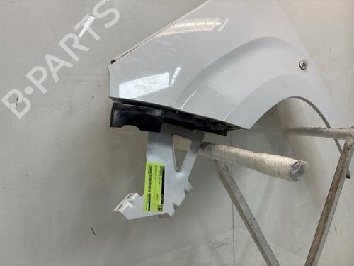 Left front fenders OPEL COMBO Box Body/MPV (K9) 1.2 | BP29899338C41 