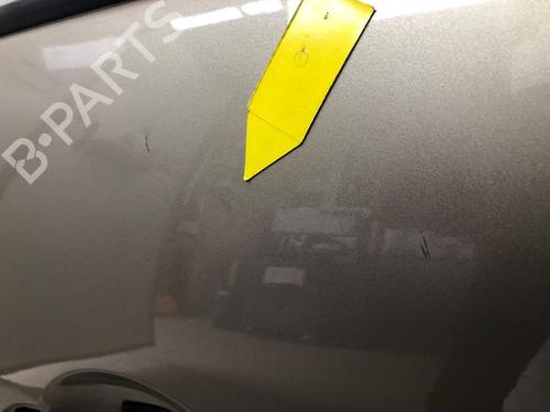 Left front door RENAULT SCÉNIC III (JZ0/1_) 1.5 dCi | BP19113248C2 