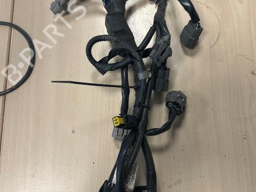 Used Wiring harness RENAULT LAGUNA III Grandtour (KT0/1) 2.0 16V (KT0F, KT0W) (140 hp) 24160824