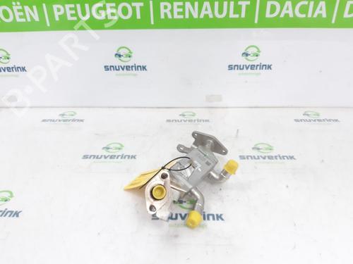 Egr RENAULT ARKANA I (LCM_, LDN_) 1.6 E-TECH 145 (LDMU) | BP30185508M69