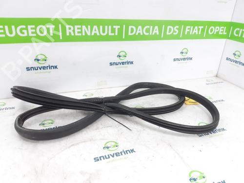 Used Rubber door seal RENAULT SCÉNIC III (JZ0/1_) 1.4 16V (JZ0F, JZ1V) (131 hp) 20074279