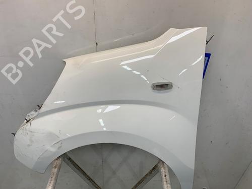 Left front fenders PEUGEOT BIPPER (AA_) 1.3 HDi 75 | BP30186402C41