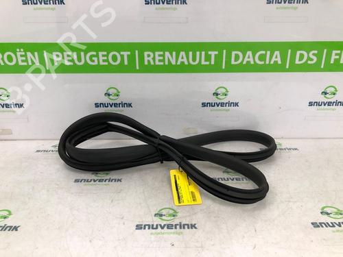 Gummiliste RENAULT ARKANA I (LCM_, LDN_) 1.3 TCe 160 (LDN1) (158 hp) 20214107