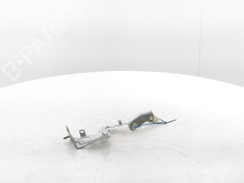 Hinge/Door check strap RENAULT TRAFIC III Van (FG_) 2.0 dCi 120 (FGMN) | BP29426848C146 