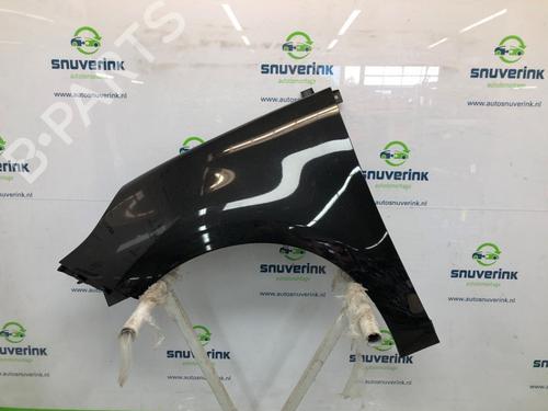 Used Left front fenders RENAULT SCÉNIC III (JZ0/1_) 1.6 16V (JZ0U, JZ1B) (110 hp) 24705274