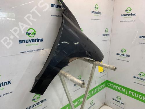 Left front fenders RENAULT MEGANE III Grandtour (KZ0/1) 1.5 dCi (KZ09, KZ0D, KZ1G, KZ29, KZ14, KZ1W, KZ10, KZ1F,... | BP26665660C41 