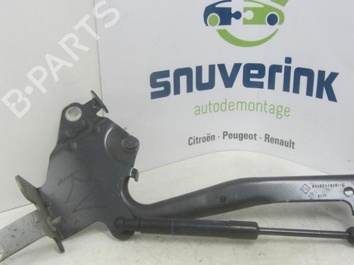 Used Hinge/Door check strap RENAULT SCÉNIC III (JZ0/1_) 1.4 16V (JZ0F, JZ1V) (131 hp) 23122135